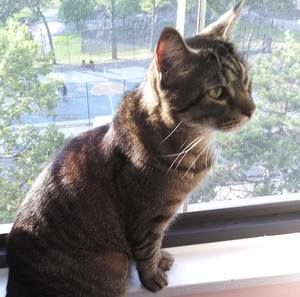 Meet your Posher, Alla